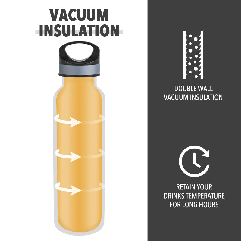 20 oz Water Bottle - Stainless Steel, Double-Wall Vacuum Insulation
